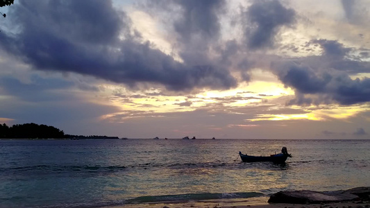 热带海湾海滩野生生物在蓝海和白沙底蓝海的景象视频