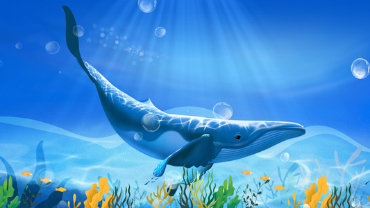 4K创意蓝色海洋唯美世界海洋日鲸鱼动态背景视频视频