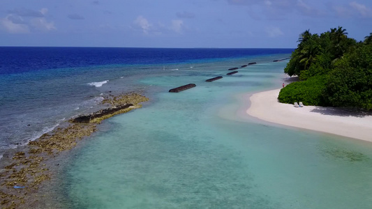 以蓝环礁湖和白沙为背景的海滨海滩野生生物视频
