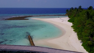 以白沙背景的水蓝水为生的奇异海湾海滩野生动物旅游13秒视频