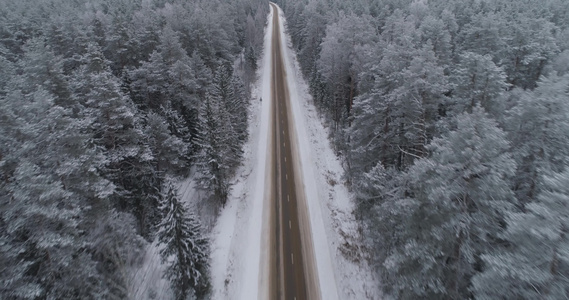 森林中的冬季道路视频