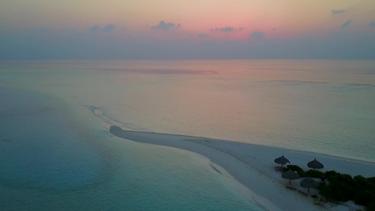 黄绿海和白沙背景的奇异沿海海滩野生生物风景景观视频