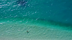 以蓝海和白沙底面的海滨航程进行海滩巡航9秒视频