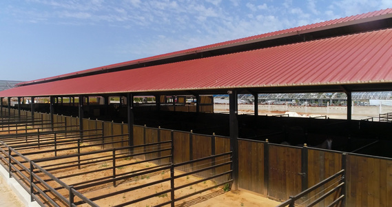 在该国户外大房子牧场或马场上方的鸟瞰图内陆农场动物视频