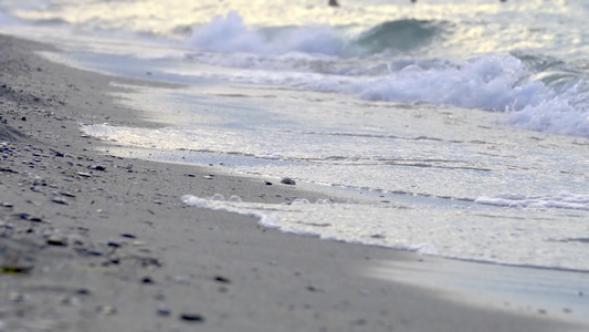 在一个有水浪背景环的失去焦点的沙滩上观测到的视线视频