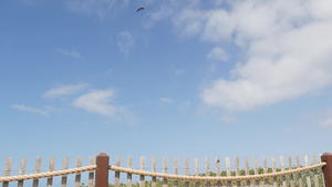 在天空中飞翔卡利弗尼亚岛在海滨上漂泊鸟儿和海洋9秒视频