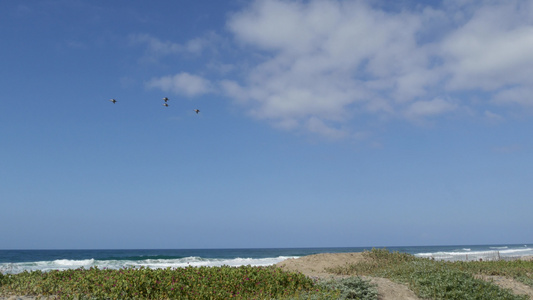 苍蝇在天空中飞翔卡利弗尼亚岛在海滨上漂泊鸟儿和海洋视频