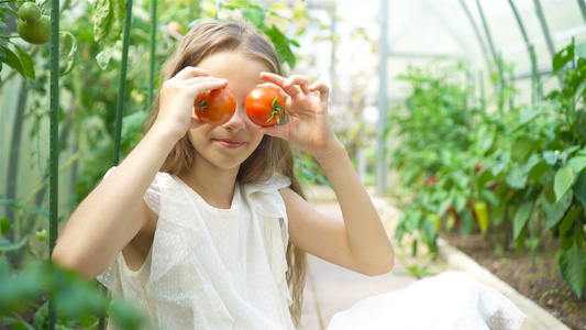 可爱的小女孩带着一大盒蔬菜在温室里收割时间可爱孩子视频