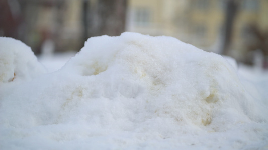 冬天下雪时黄狗尿视频