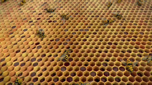 蜂巢中的黄蜂循环动画视频