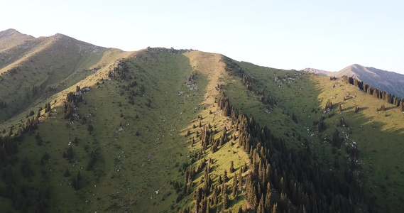 黎明时的青山视频