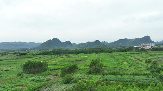 4k广西大明山视频