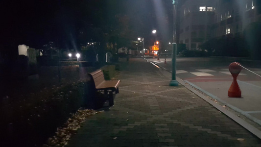 晚上在暗黑的街道灯光下看到公共公园的街边行走视频