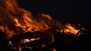 夜间燃烧木柴和树枝的23秒视频