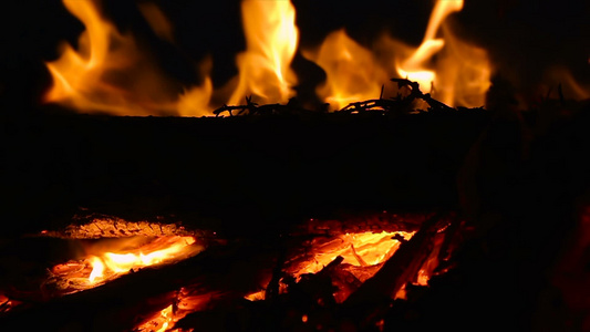 夜间用燃烧的木柴和树枝关闭营火慢动视频