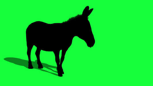 绿色屏幕上的驴子3D动画轮廓视频