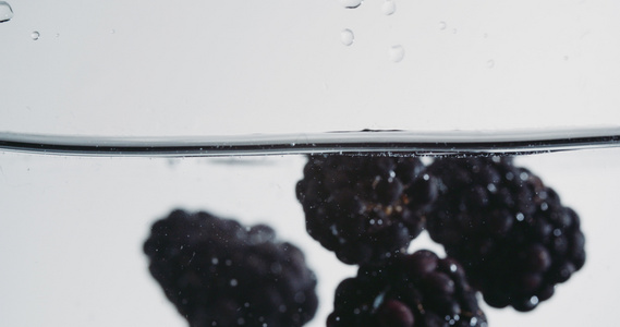 熟熟的黑莓掉入水中视频