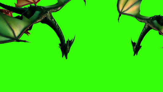 3d飞龙动画在绿屏上分离视频