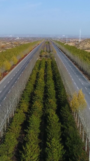 沙漠绿化道路航拍植树造林46秒视频