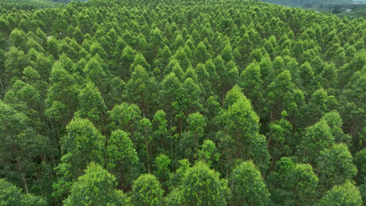 4k广西大明山视频