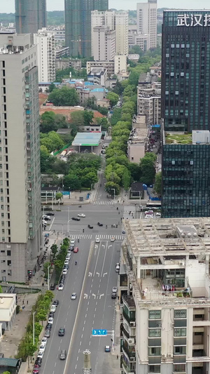 航拍武汉东湖边楼房和马路交通机动车39秒视频