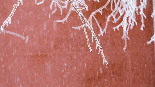 4K多角度拍摄故宫红墙飘雪雪景慢动作合集视频