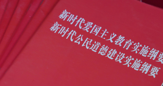 新时代爱国主义教育实施纲要 公民道德建设视频