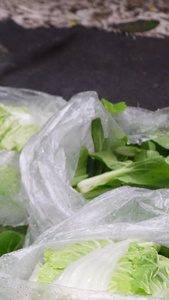 城市菜市场用塑料袋买菜居家生活素材购物素材视频
