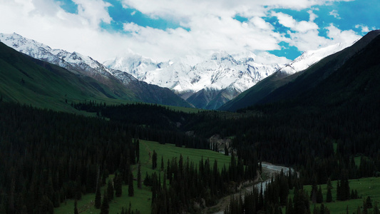 4K航拍新疆伊犁雪山草原森林自然风景[风景迷人]视频