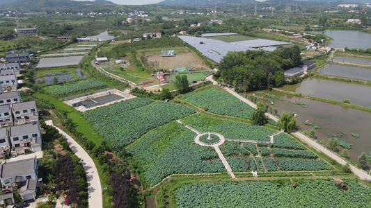 农业种植大棚基地航拍视频