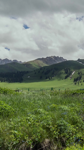 5A新疆伊犁那拉提景区蓝天白云下的山脉河流草原延时摄影旅游景区视频