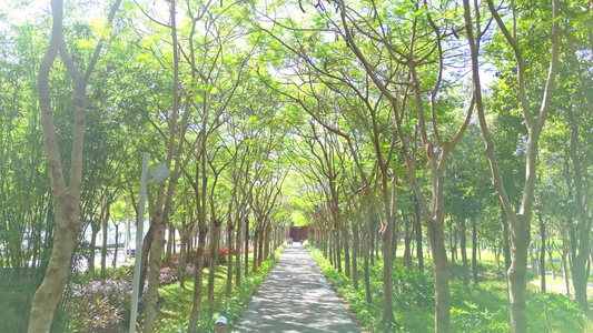 海南三亚天涯区城市绿色口袋公园园林建筑阳光休闲生活视频