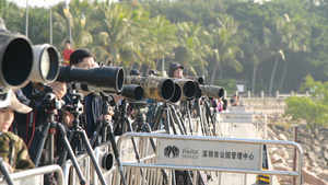4K清晨深圳湾公园的拍鸟人17秒视频