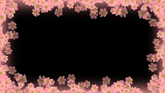 水彩粉花边框视频