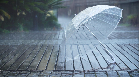 雨天路边的雨伞[伞柄]视频