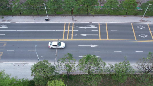 春季的城市道路航拍视频