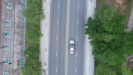 春季的城市道路航拍视频