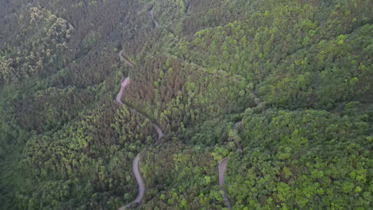 森林中的公路航拍[高等级公路]视频