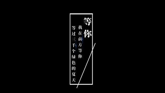 白色字幕设计会声会影视频