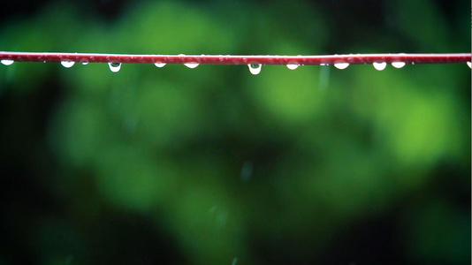 雨天电线杆上的水滴视频