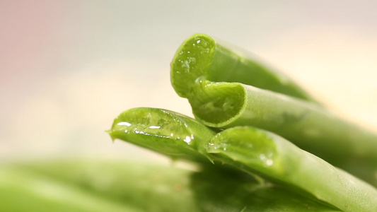 微距芦荟汁液横截面视频