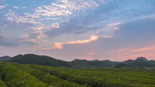 4k夕阳延时春茶山坡视频