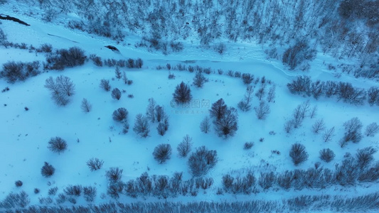 大兴安岭寒冬雪景森林视频