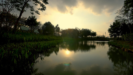 顺峰山公园下湖边树影夕阳 视频