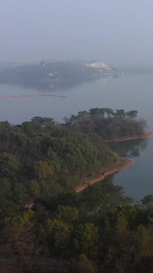 国家5A级风景区天目湖清晨薄雾航拍视频白鹭小岛生态93秒视频