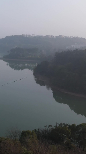 国家5A级风景区天目湖清晨薄雾航拍视频白鹭小岛生态93秒视频