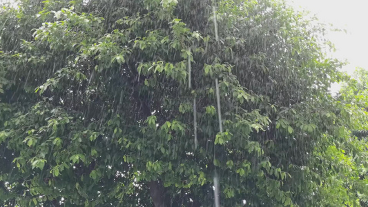 下大雨的场景视频