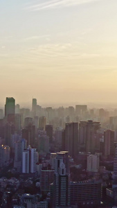 上海中山公园航拍高视角视频