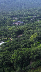 航拍南京5A级景区钟山风景区中山陵明孝陵视频