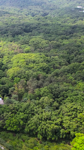 航拍南京5A级景区钟山风景区中山陵明孝陵视频